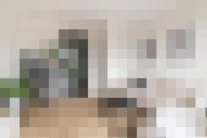 Tiellaan 92 Amersfoort thumbnail 12