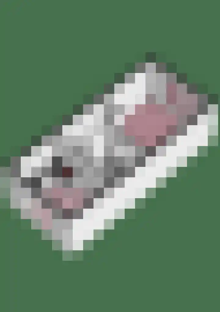 Tiellaan 92 Amersfoort thumbnail 38