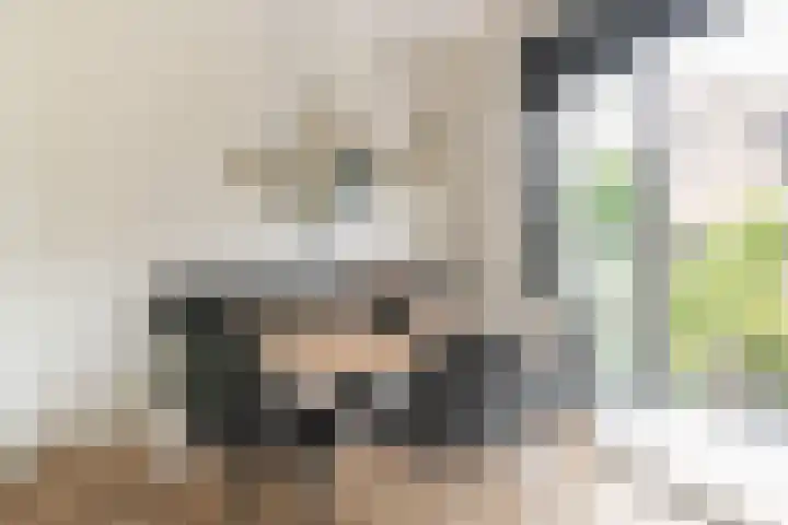 Tiellaan 92 Amersfoort thumbnail 9