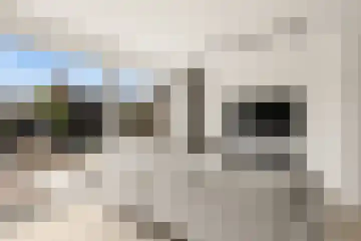 Tiellaan 98 Amersfoort thumbnail 10