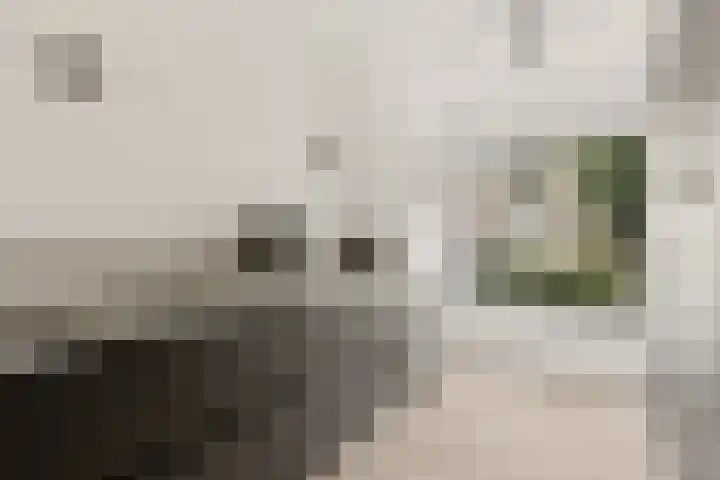 Tiellaan 98 Amersfoort thumbnail 20