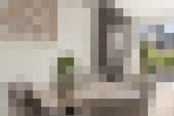Tiellaan 98 Amersfoort thumbnail 24