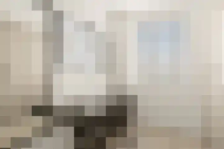 Tiellaan 98 Amersfoort thumbnail 38