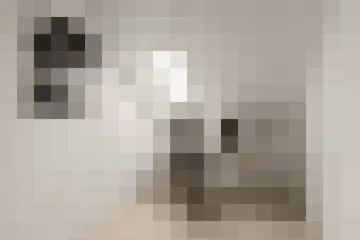 Tiellaan 98 Amersfoort thumbnail 43