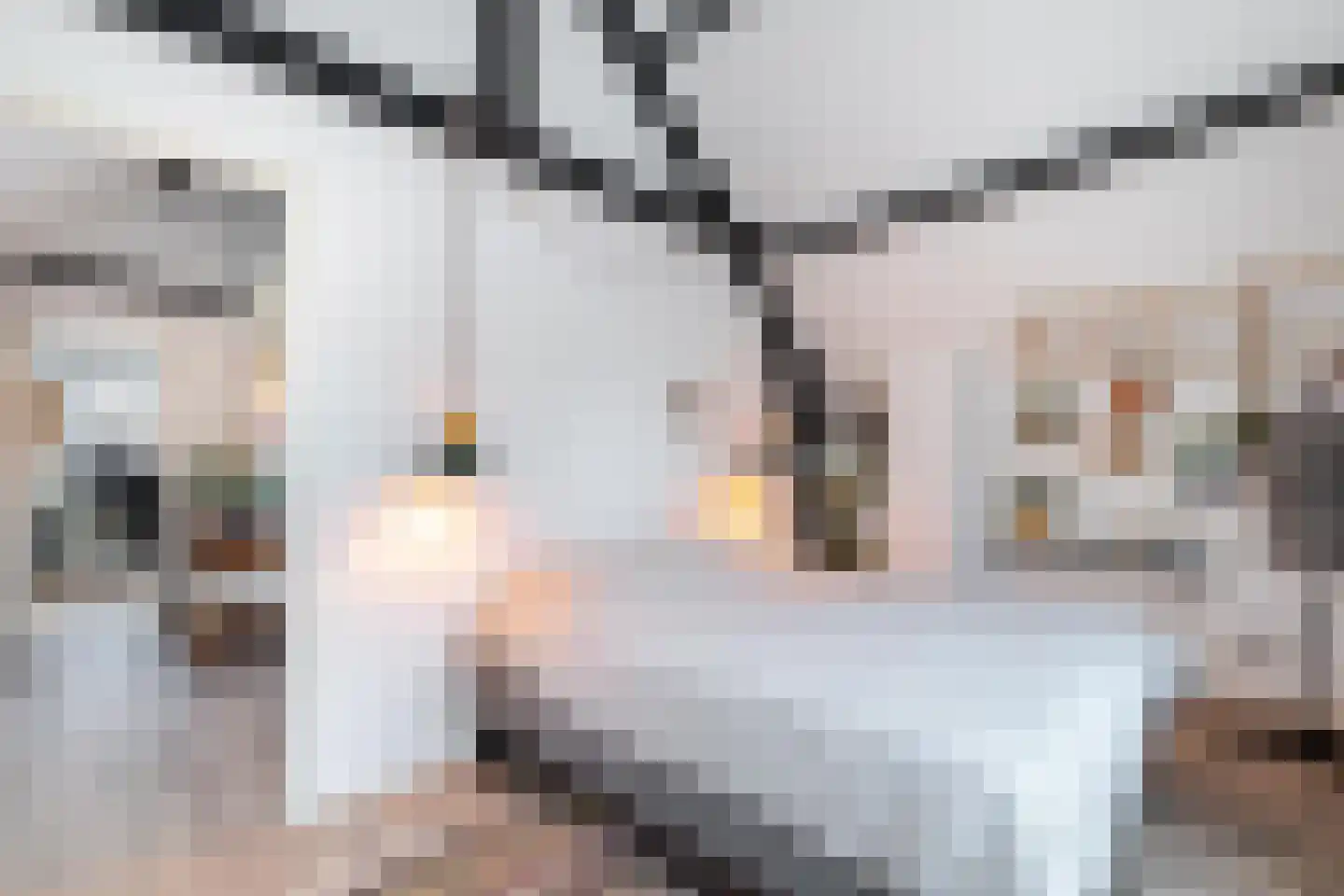 Tielman Oemstraat 22 Schiedam thumbnail 39