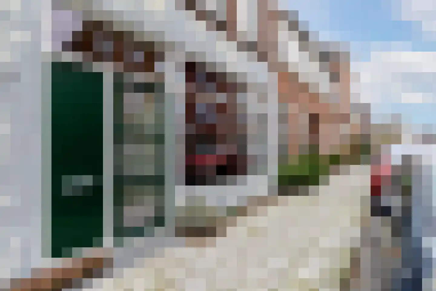 Tielman Oemstraat 22 Schiedam thumbnail 46