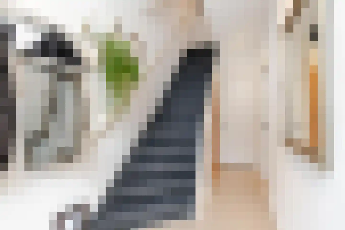 Tielman Oemstraat 22 Schiedam thumbnail 7