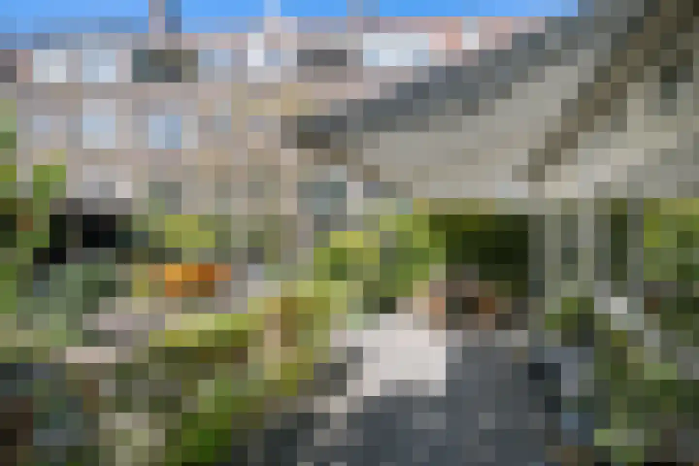 Tielman Oemstraat 7 B Schiedam thumbnail 12