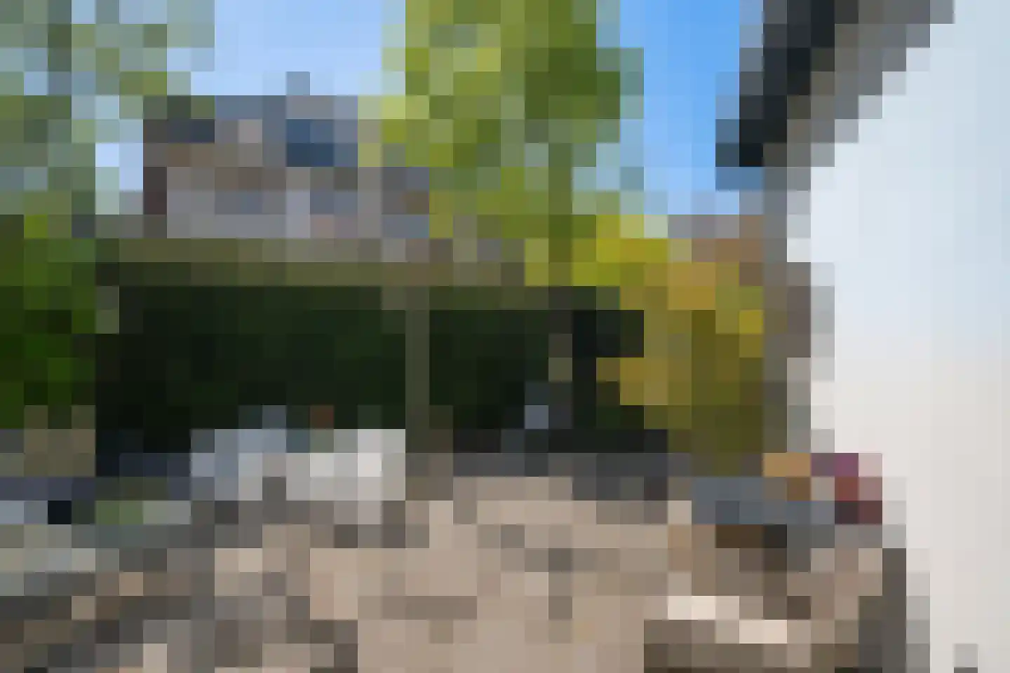Tielman Oemstraat 7 B Schiedam thumbnail 15