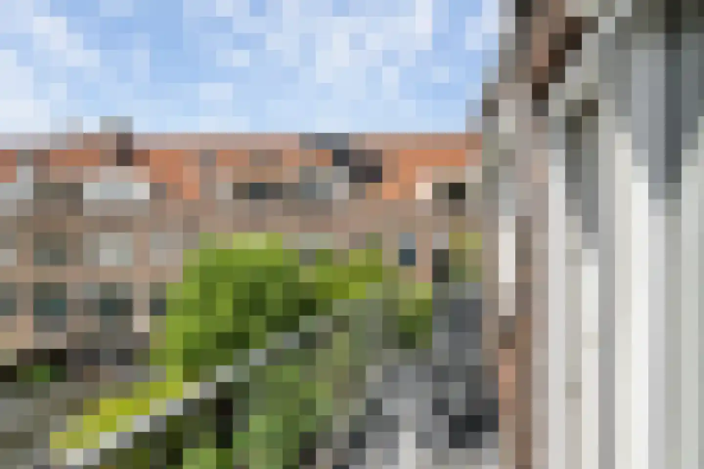 Tielman Oemstraat 9 B Schiedam thumbnail 23
