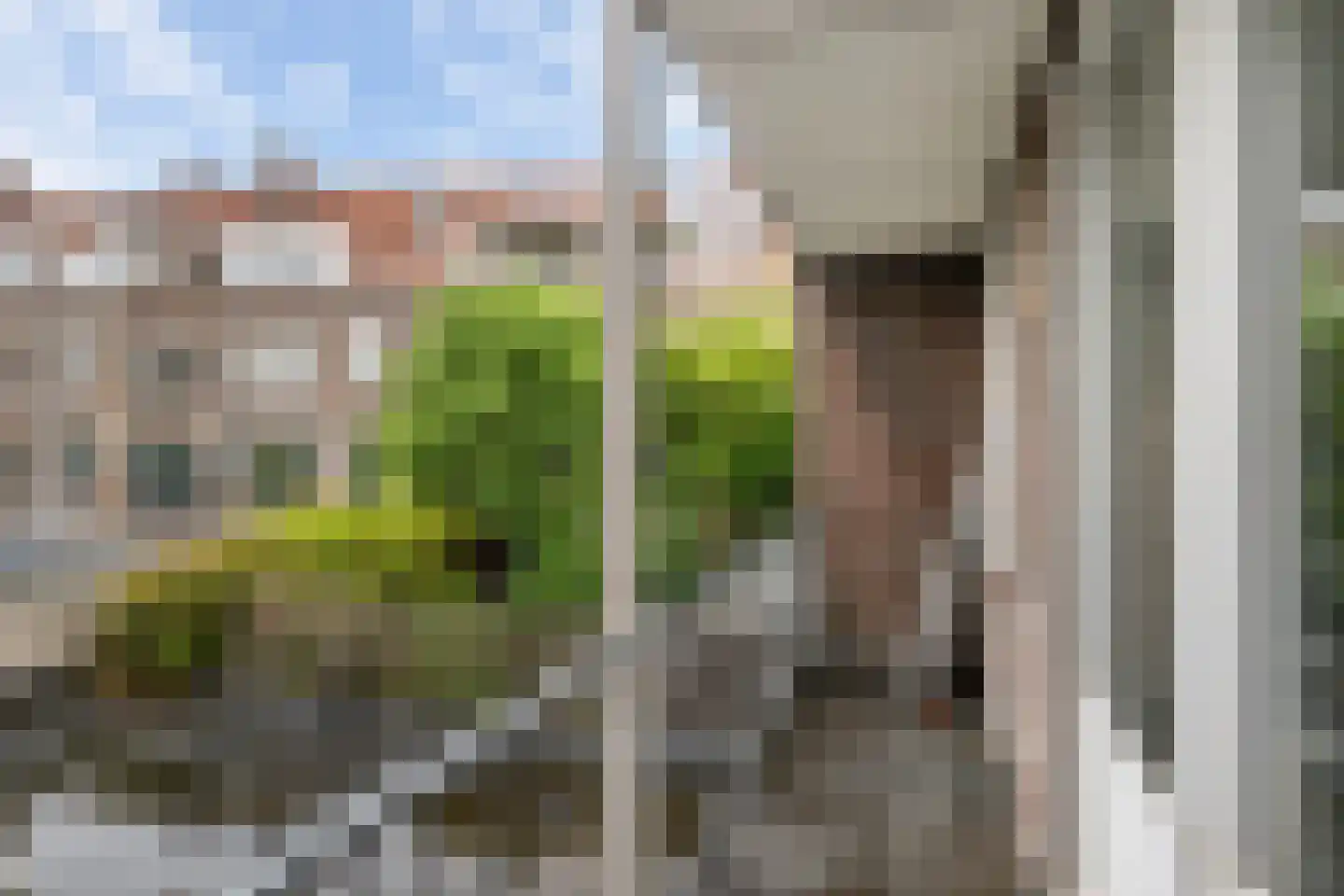 Tielman Oemstraat 9 B Schiedam thumbnail 8