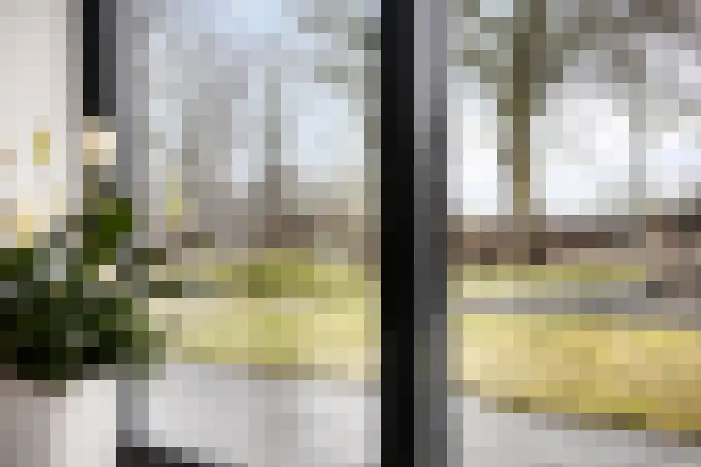 Tielse Hoeve 1 Sint-Michielsgestel thumbnail 13