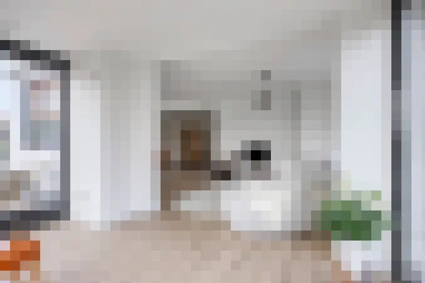 Tielse Hoeve 1 Sint-Michielsgestel thumbnail 15