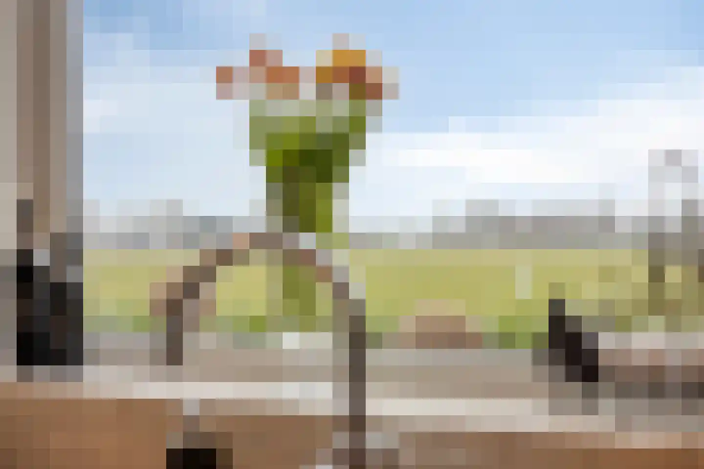 Tielse Hoeve 1 Sint-Michielsgestel thumbnail 20