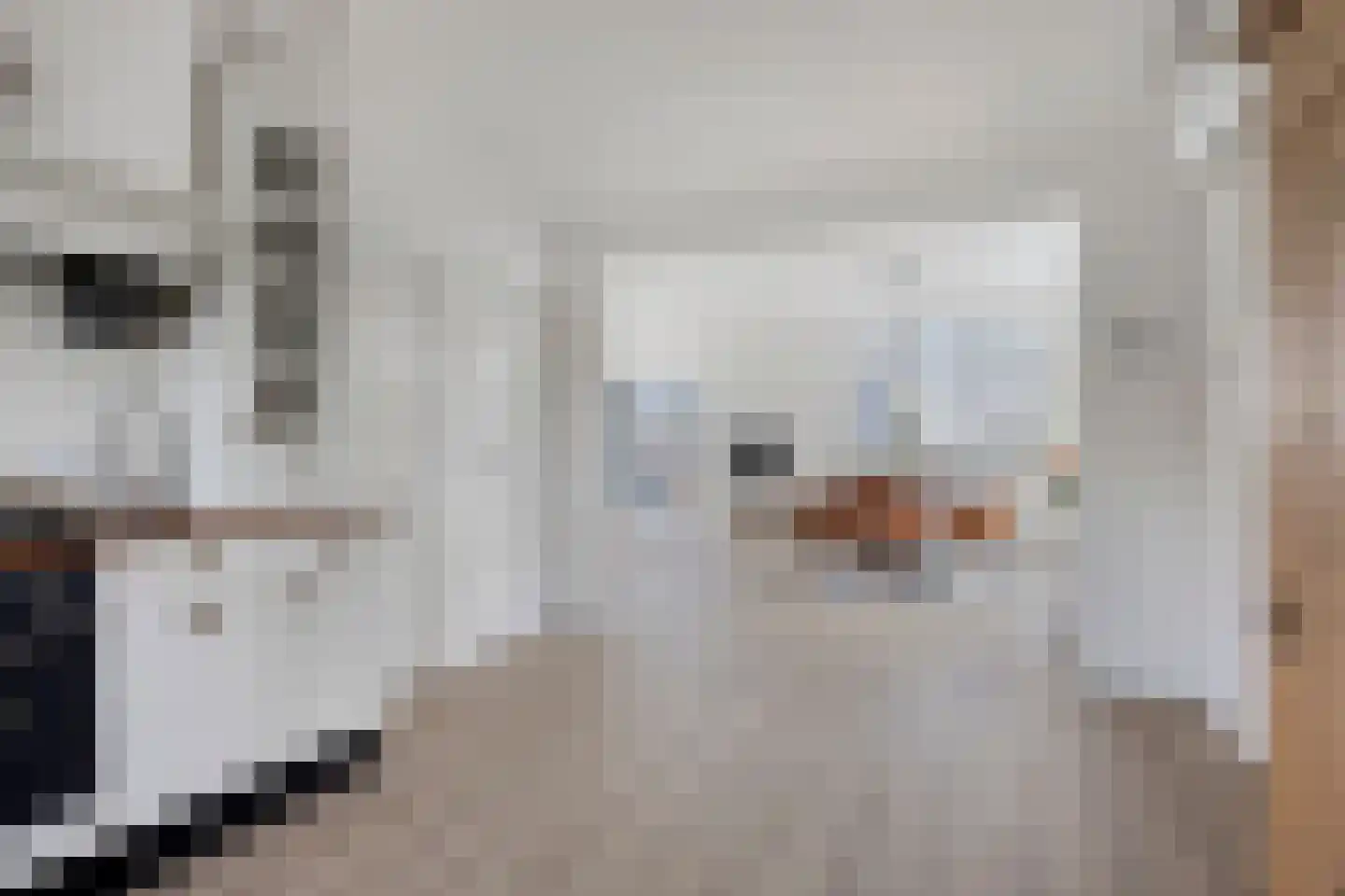 Tielse Hoeve 1 Sint-Michielsgestel thumbnail 23