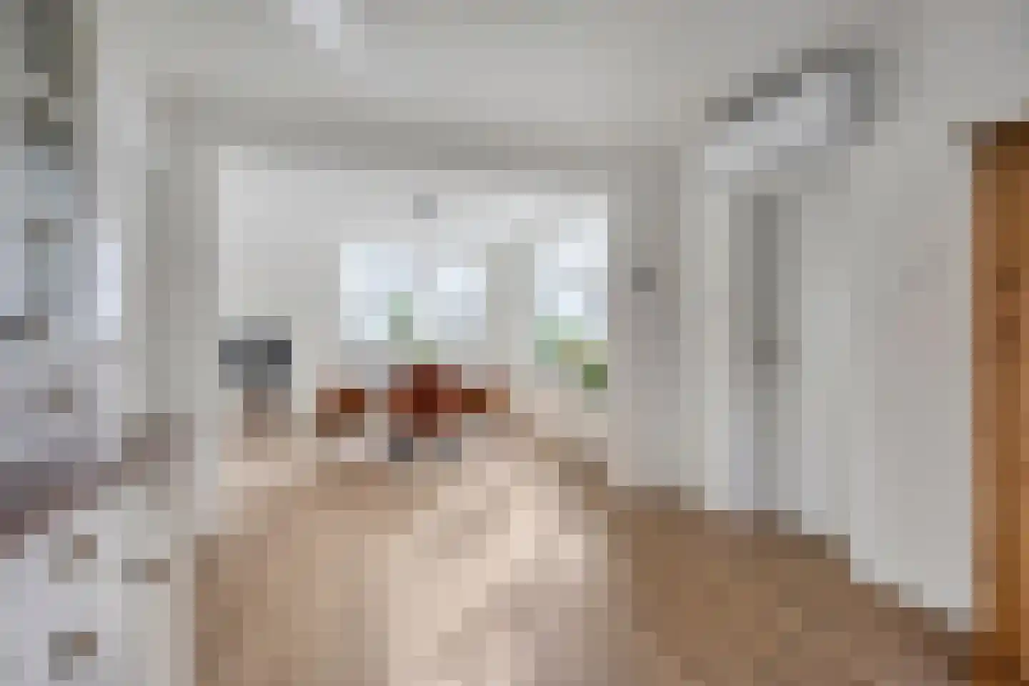 Tielse Hoeve 1 Sint-Michielsgestel thumbnail 24
