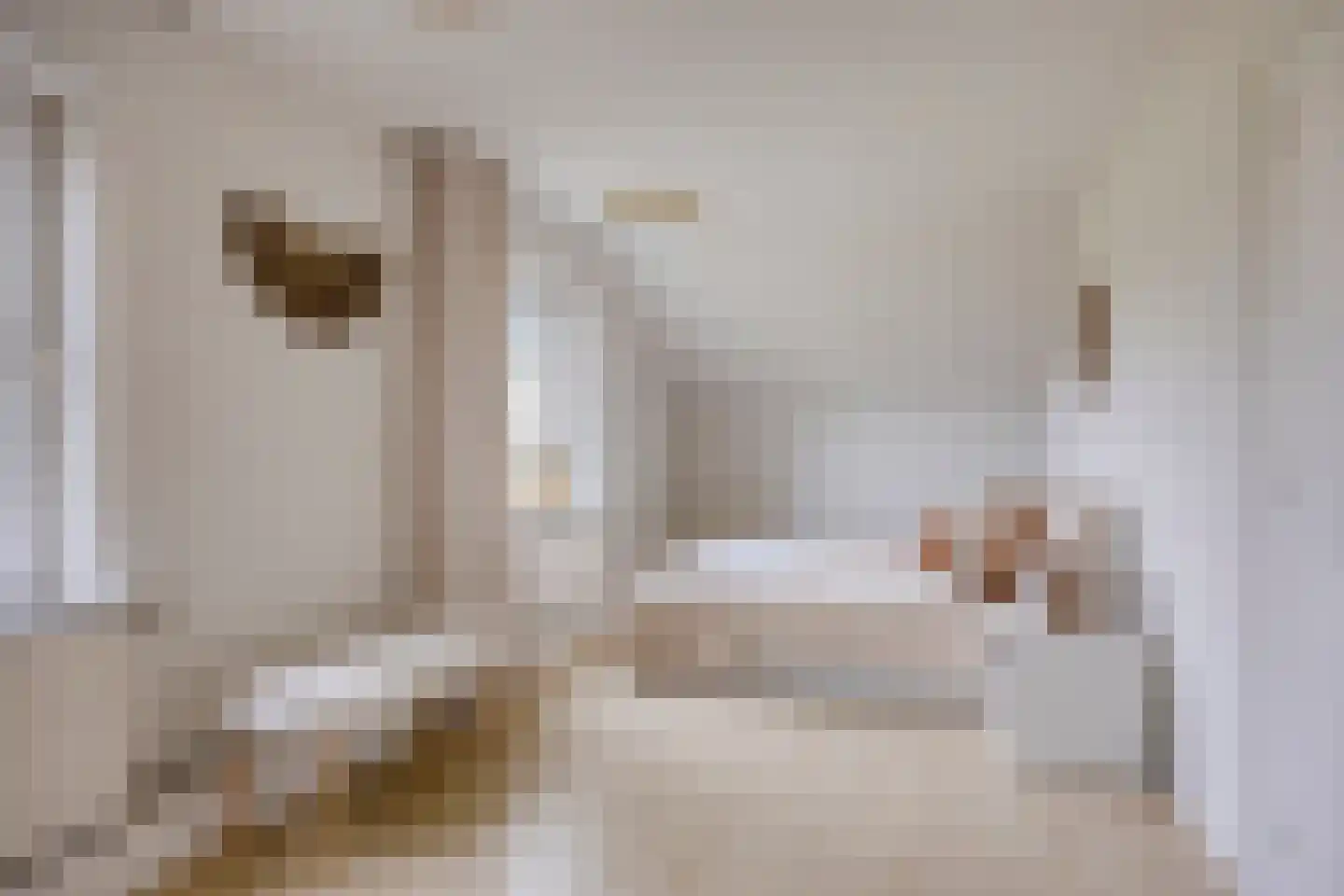 Tielse Hoeve 1 Sint-Michielsgestel thumbnail 37