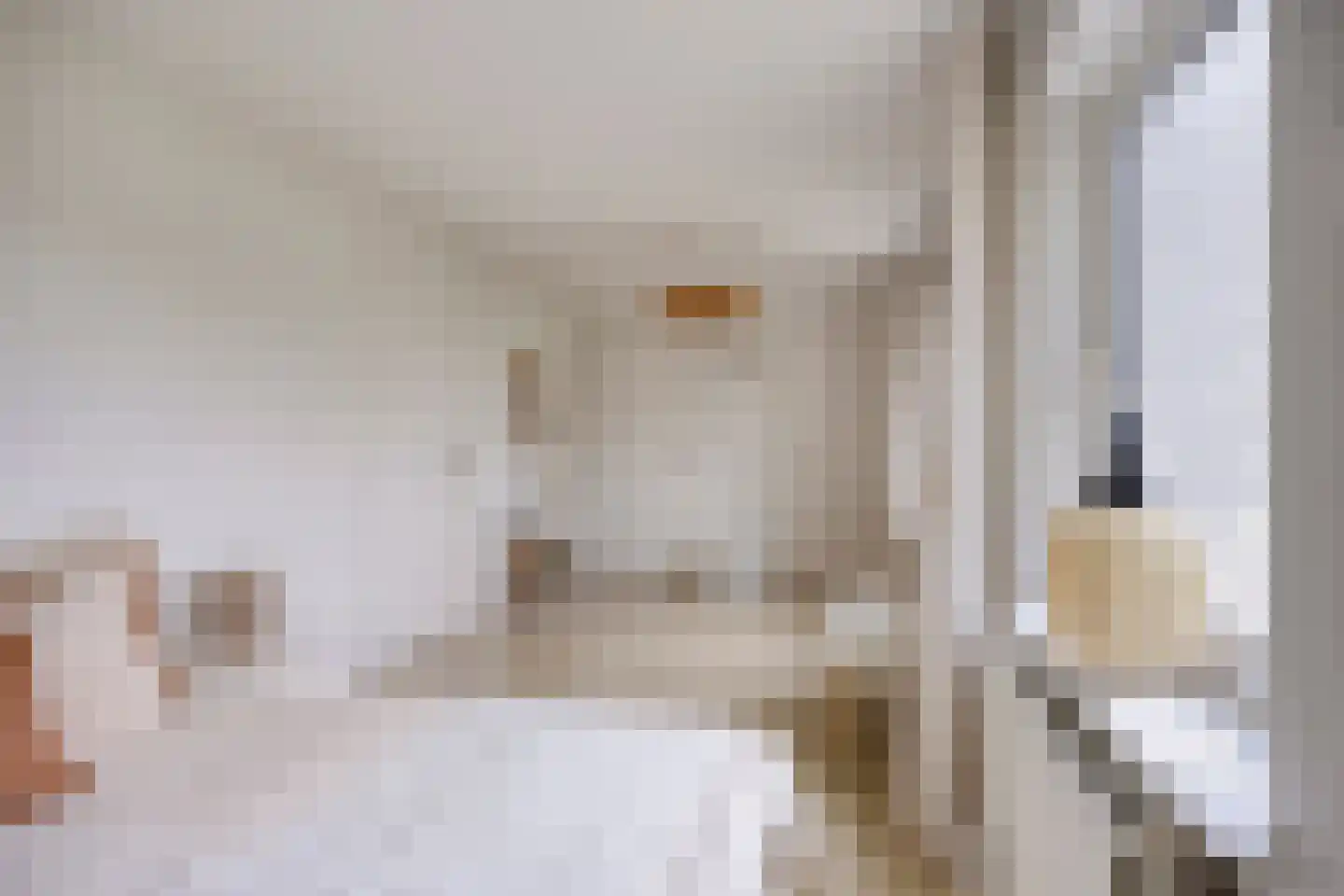 Tielse Hoeve 1 Sint-Michielsgestel thumbnail 38