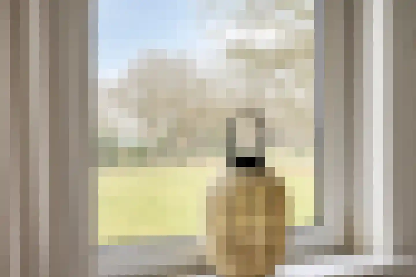 Tielse Hoeve 1 Sint-Michielsgestel thumbnail 39