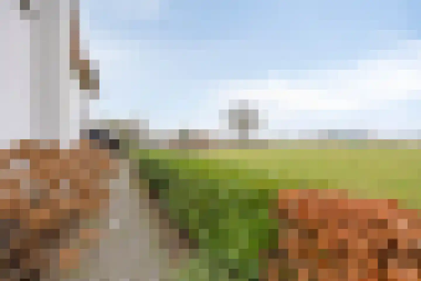 Tielse Hoeve 1 Sint-Michielsgestel thumbnail 5