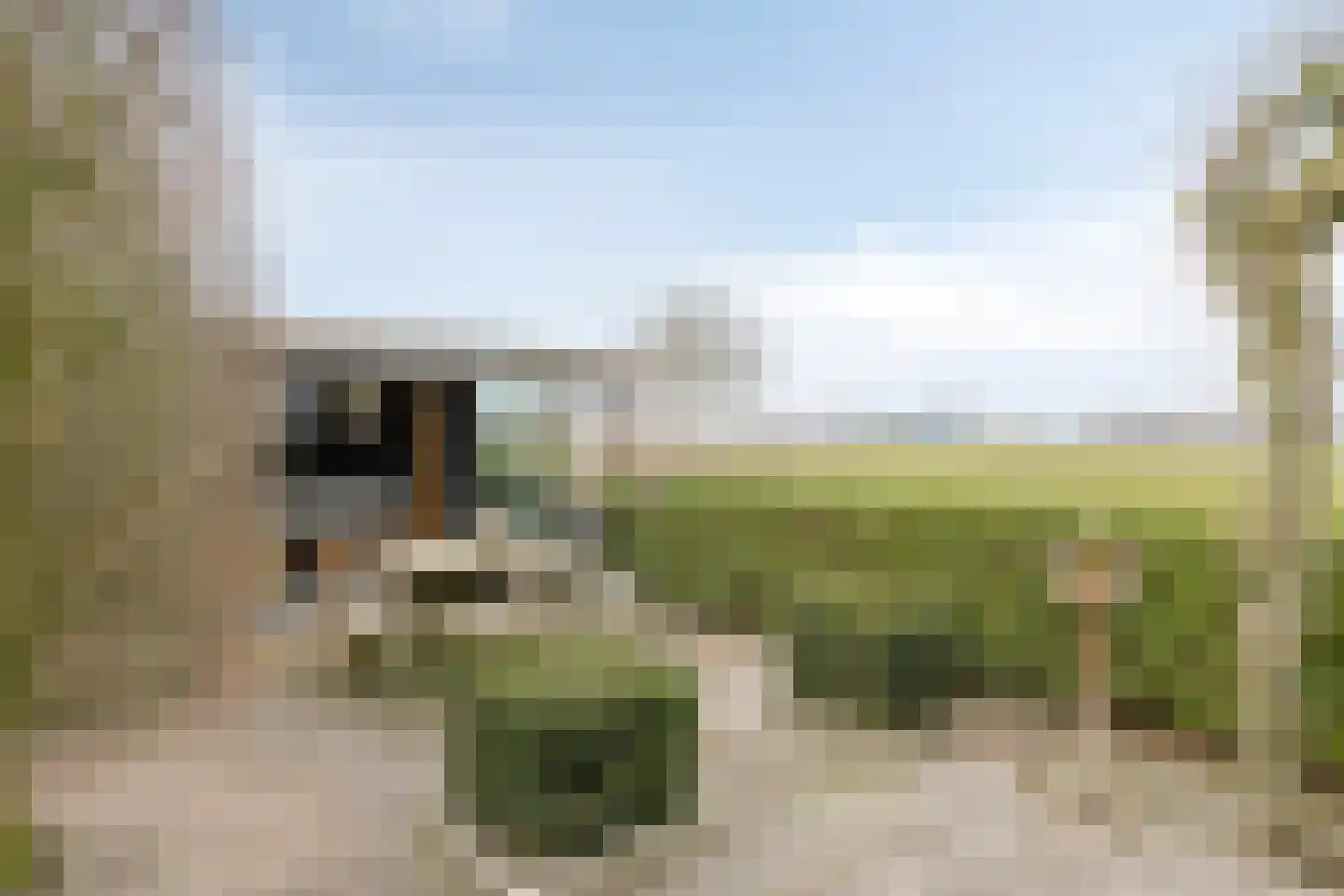 Tielse Hoeve 1 Sint-Michielsgestel thumbnail 51