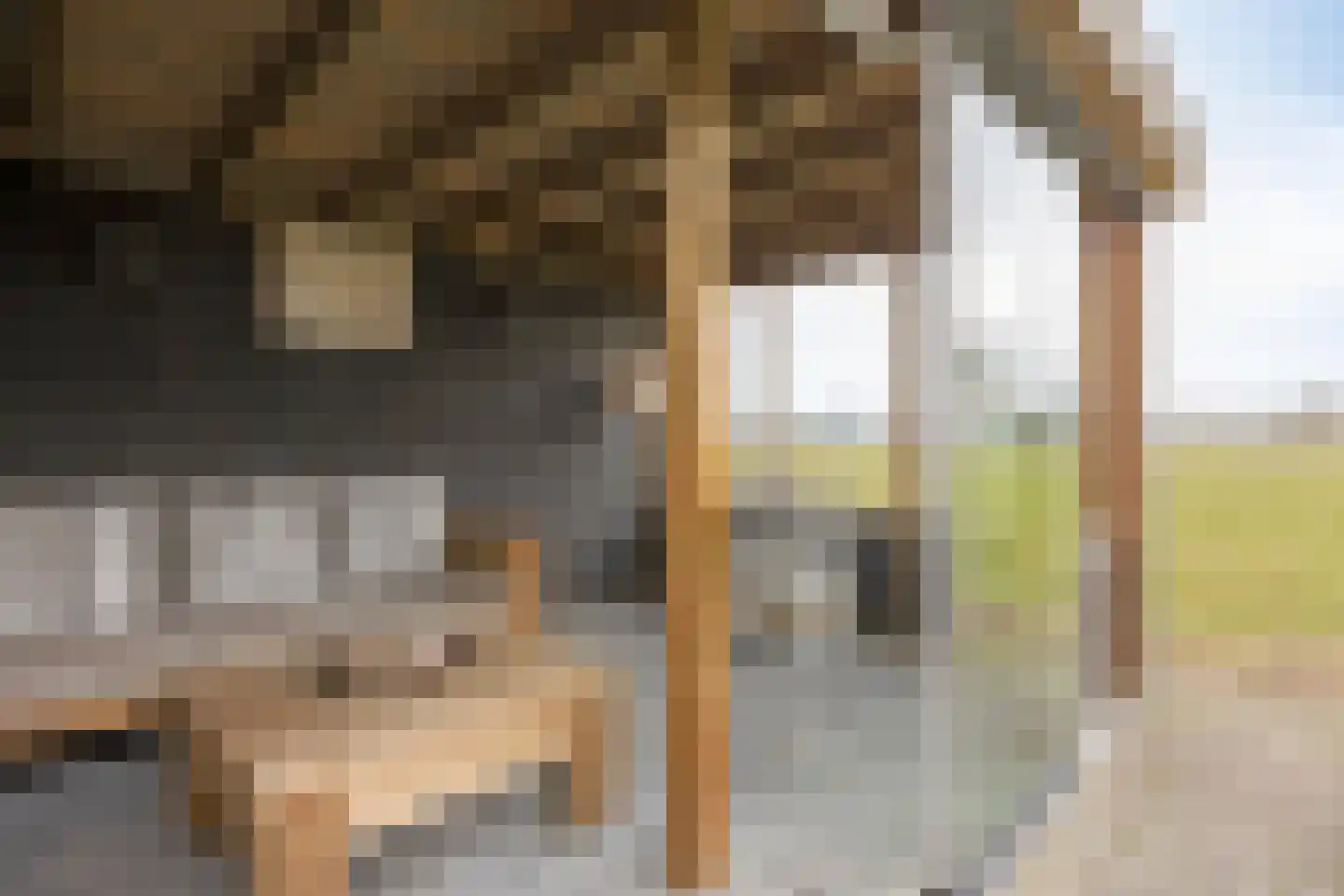 Tielse Hoeve 1 Sint-Michielsgestel thumbnail 54