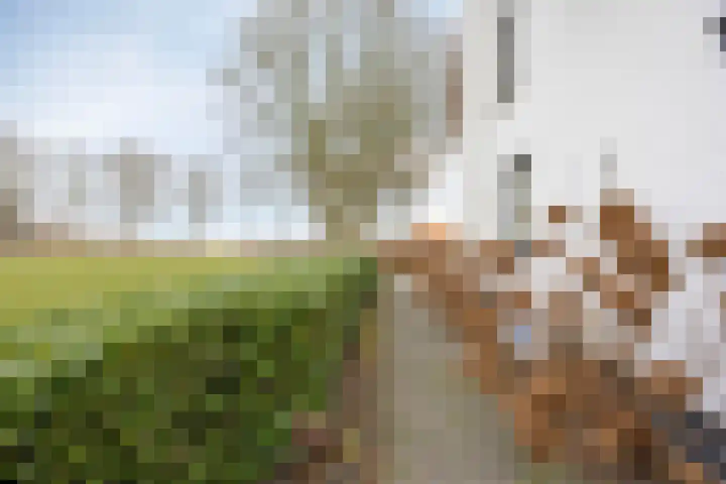 Tielse Hoeve 1 Sint-Michielsgestel thumbnail 57