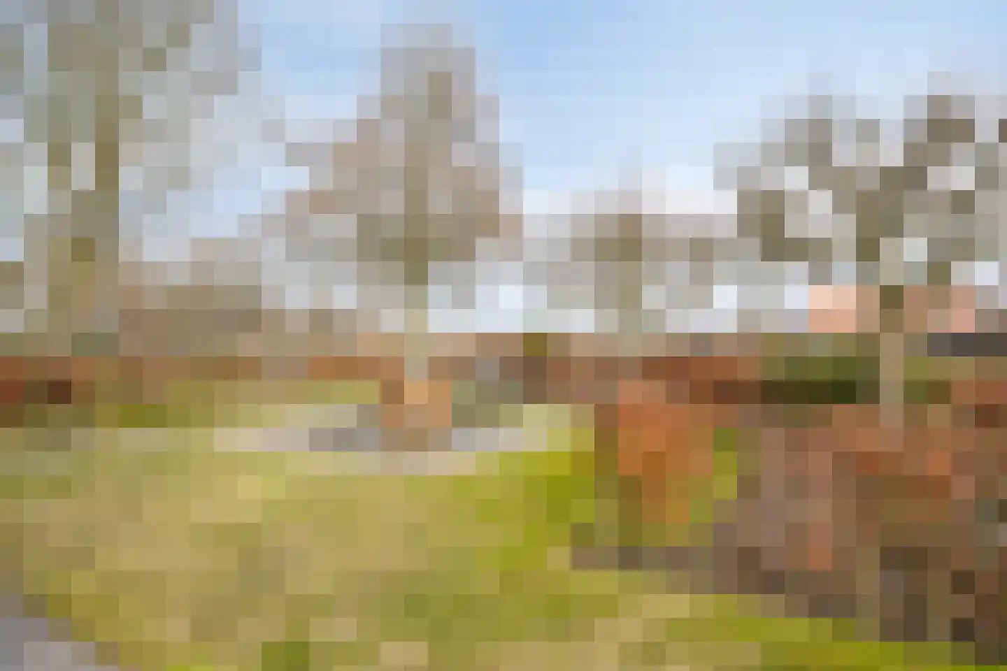 Tielse Hoeve 1 Sint-Michielsgestel thumbnail 61
