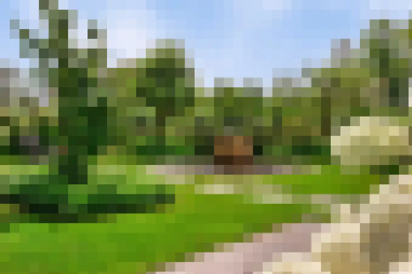 Tielse Hoeve 1 Sint-Michielsgestel thumbnail 64