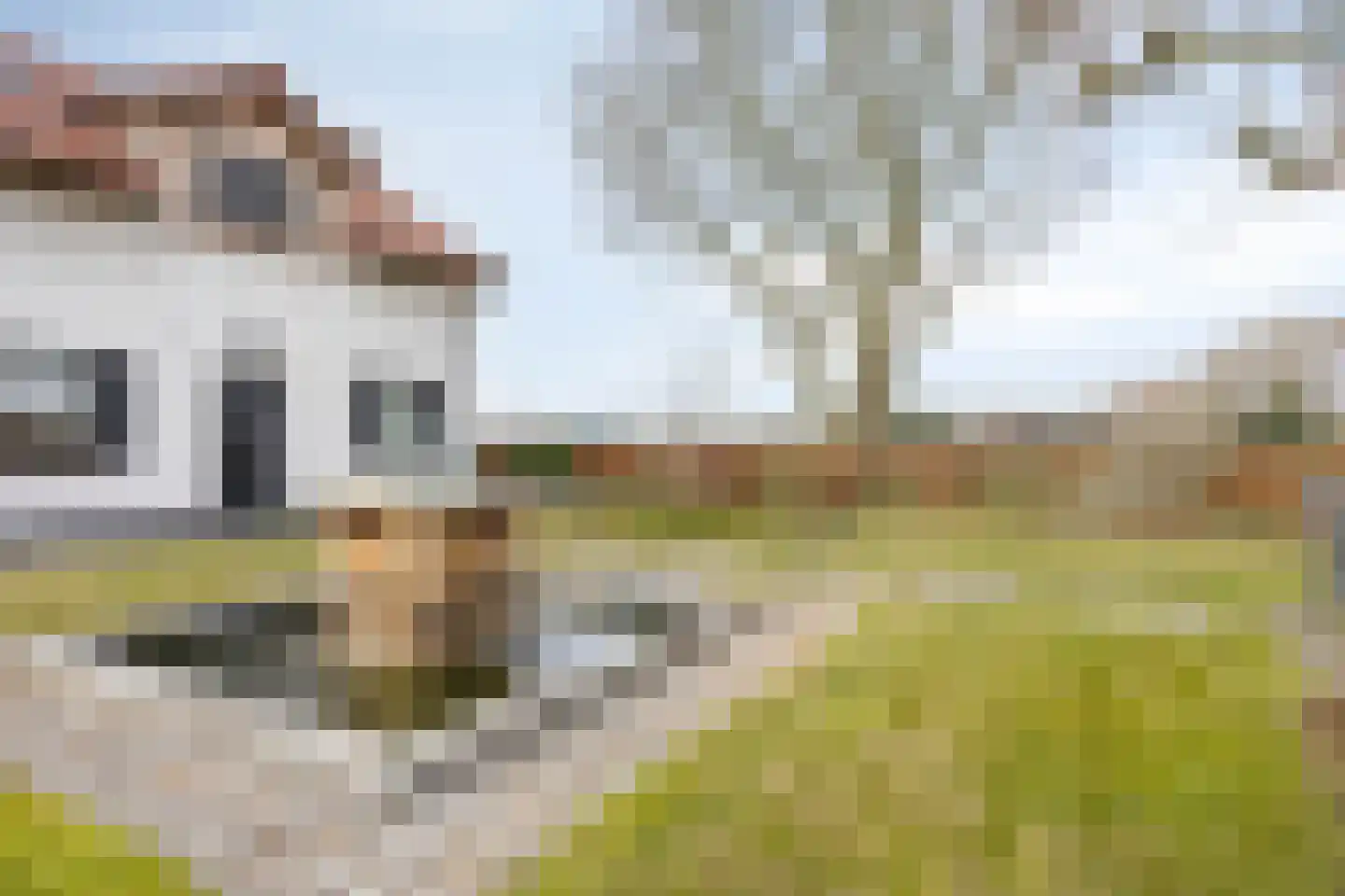 Tielse Hoeve 1 Sint-Michielsgestel thumbnail 69