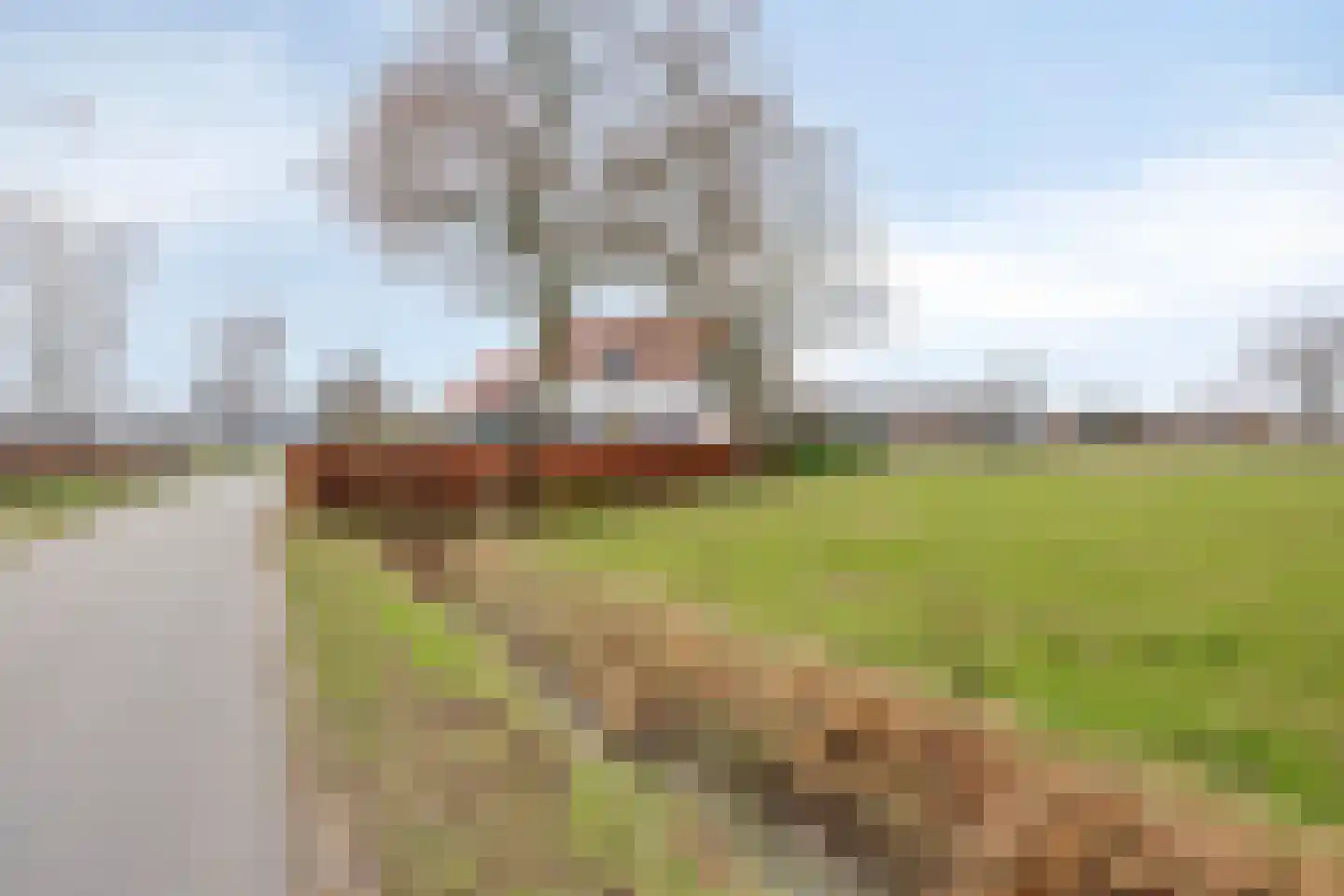 Tielse Hoeve 1 Sint-Michielsgestel thumbnail 80