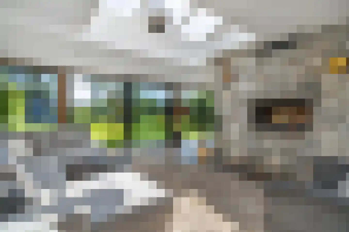 Tielse Hoeve 13 Sint-Michielsgestel thumbnail 11