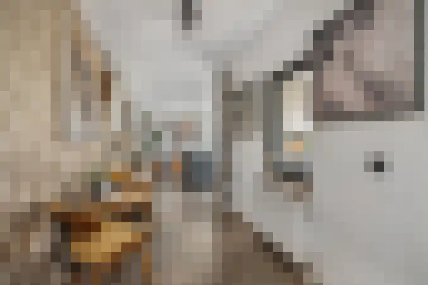 Tielse Hoeve 13 Sint-Michielsgestel thumbnail 12