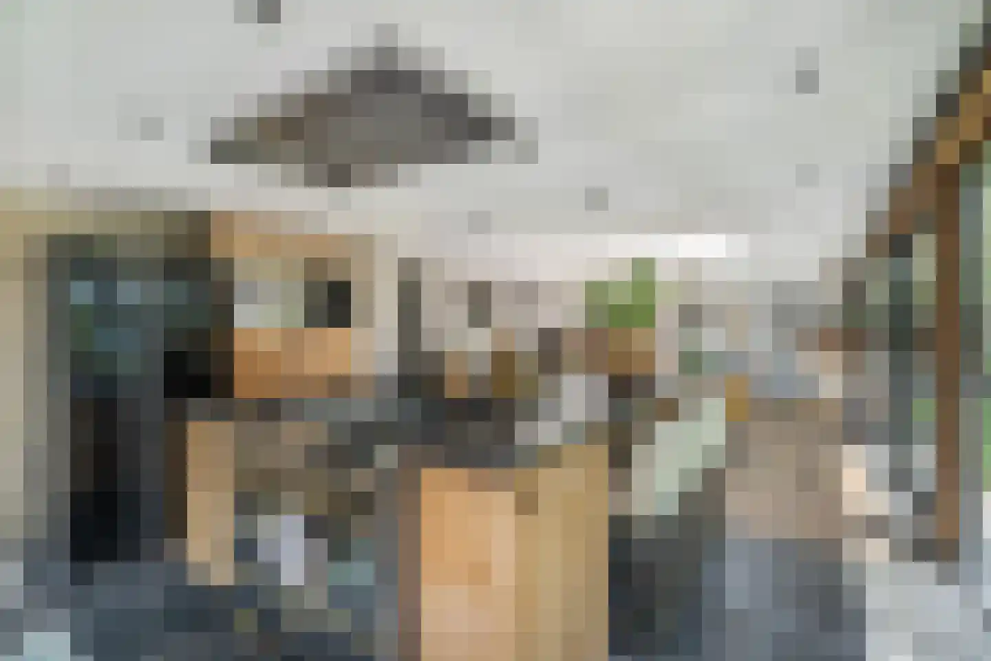 Tielse Hoeve 13 Sint-Michielsgestel thumbnail 14
