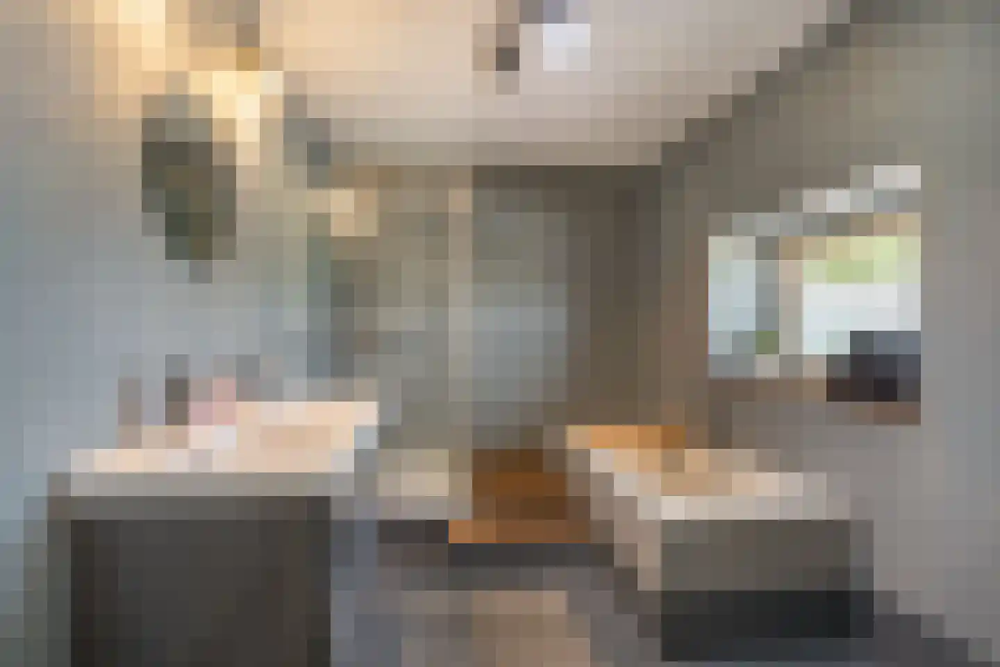 Tielse Hoeve 13 Sint-Michielsgestel thumbnail 18