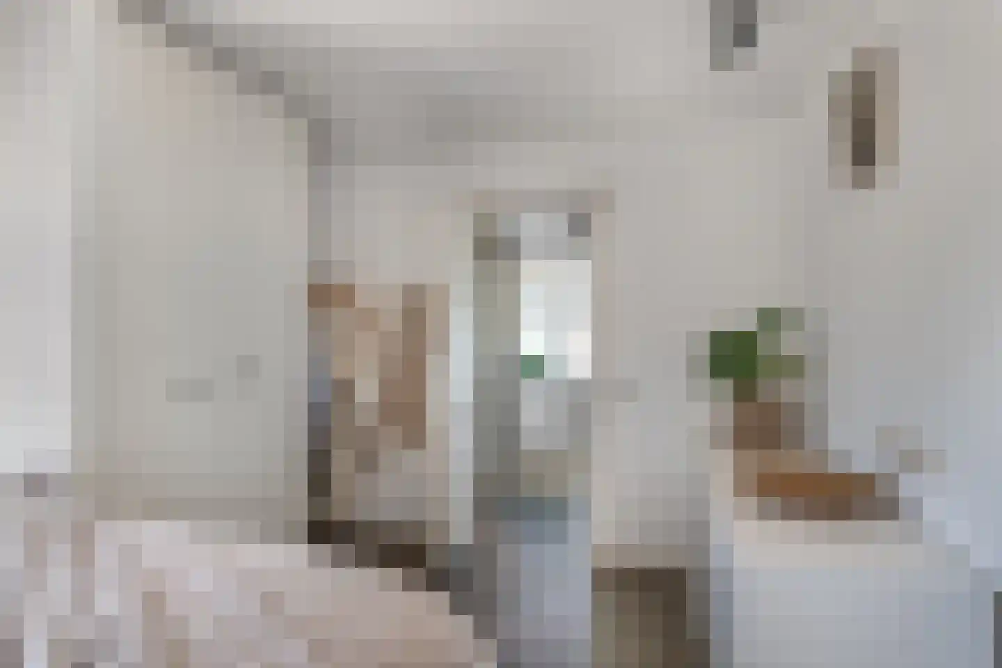 Tielse Hoeve 13 Sint-Michielsgestel thumbnail 19