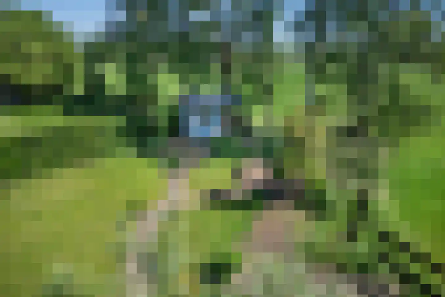Tielse Hoeve 13 Sint-Michielsgestel thumbnail 38