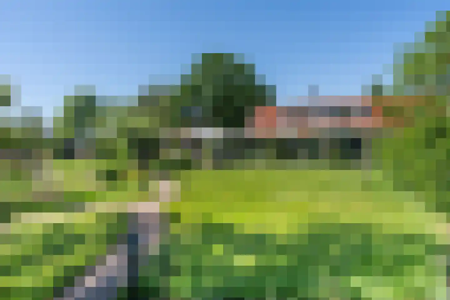 Tielse Hoeve 13 Sint-Michielsgestel thumbnail 44