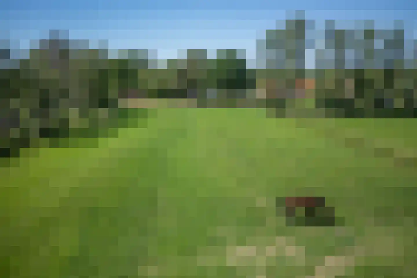 Tielse Hoeve 13 Sint-Michielsgestel thumbnail 48