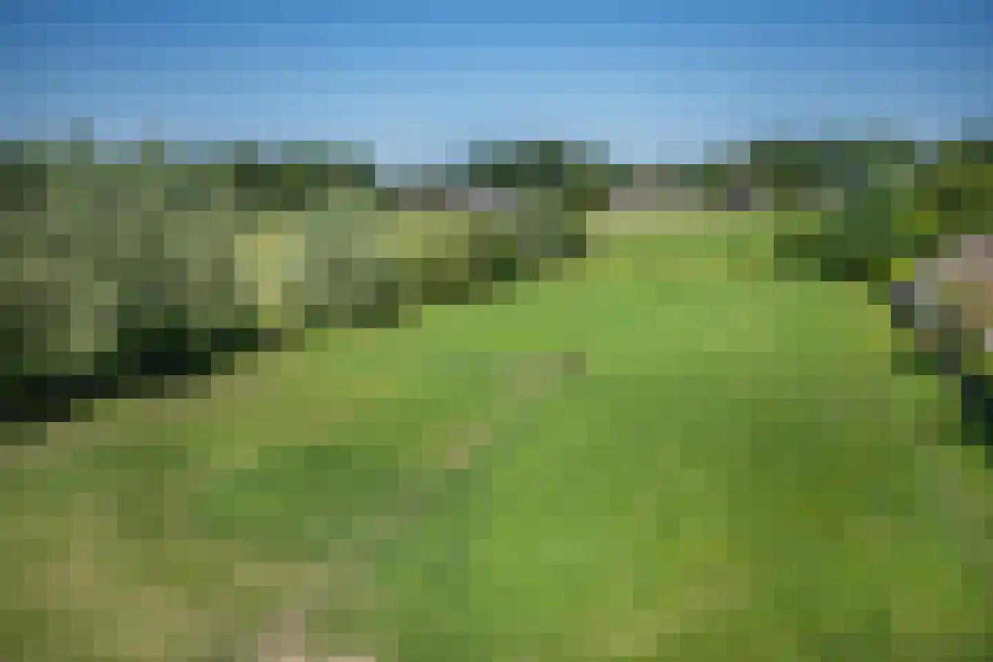 Tielse Hoeve 13 Sint-Michielsgestel thumbnail 51