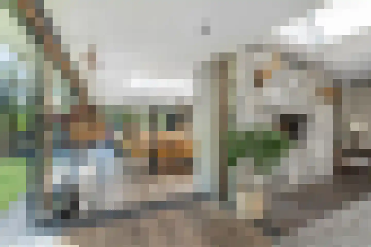 Tielse Hoeve 13 Sint-Michielsgestel thumbnail 7
