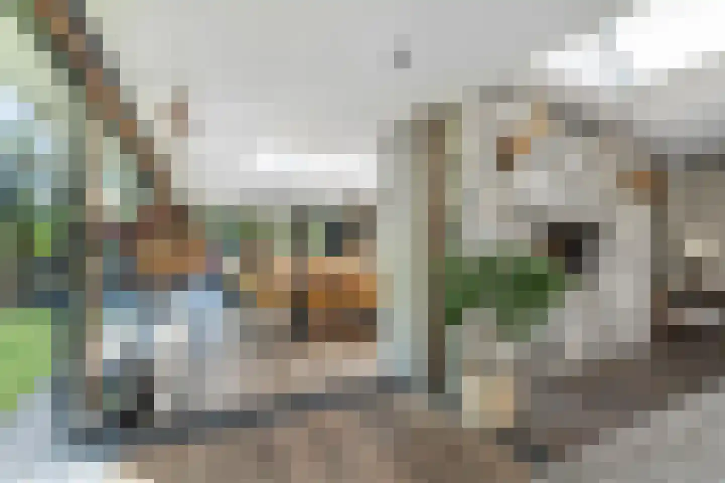 Tielse Hoeve 13 Sint-Michielsgestel thumbnail 9