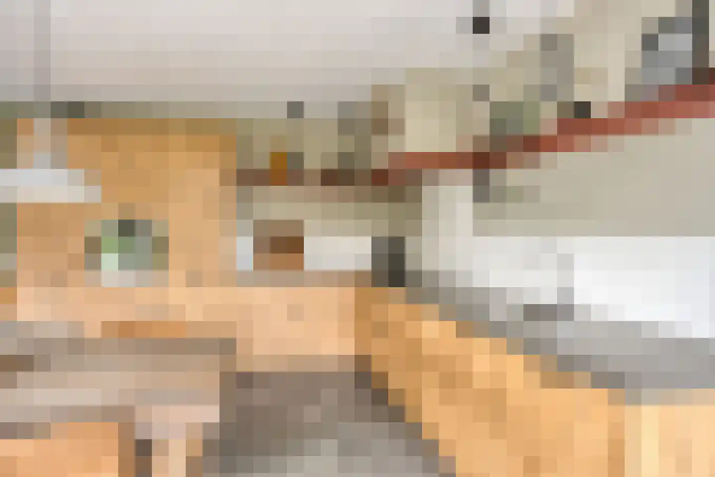 Tielsestraat 10 Valburg thumbnail 12