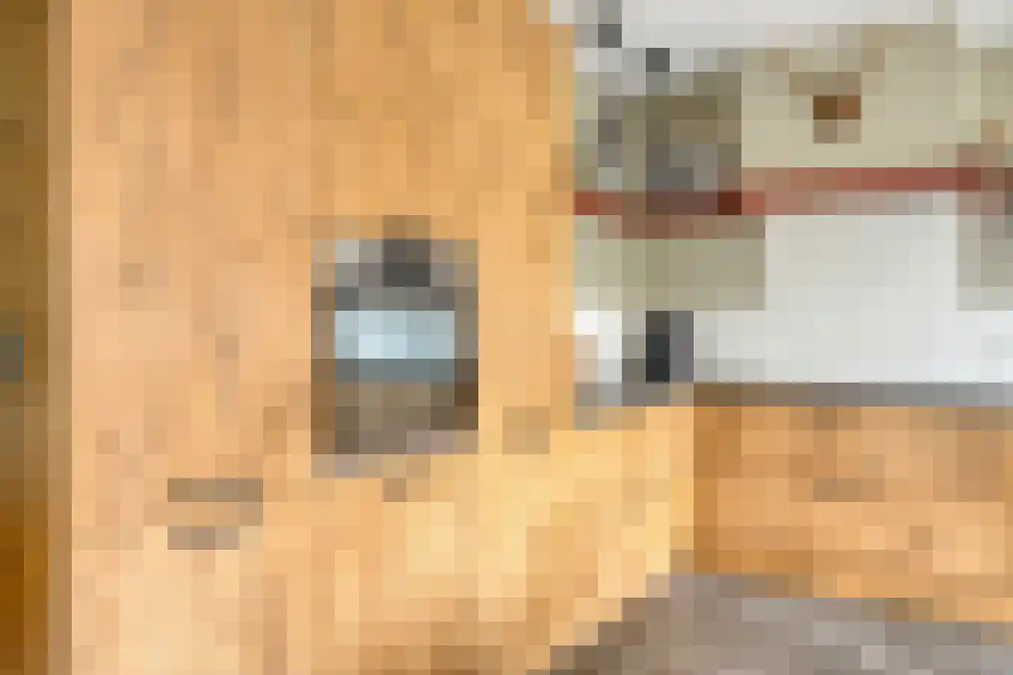 Tielsestraat 10 Valburg thumbnail 17