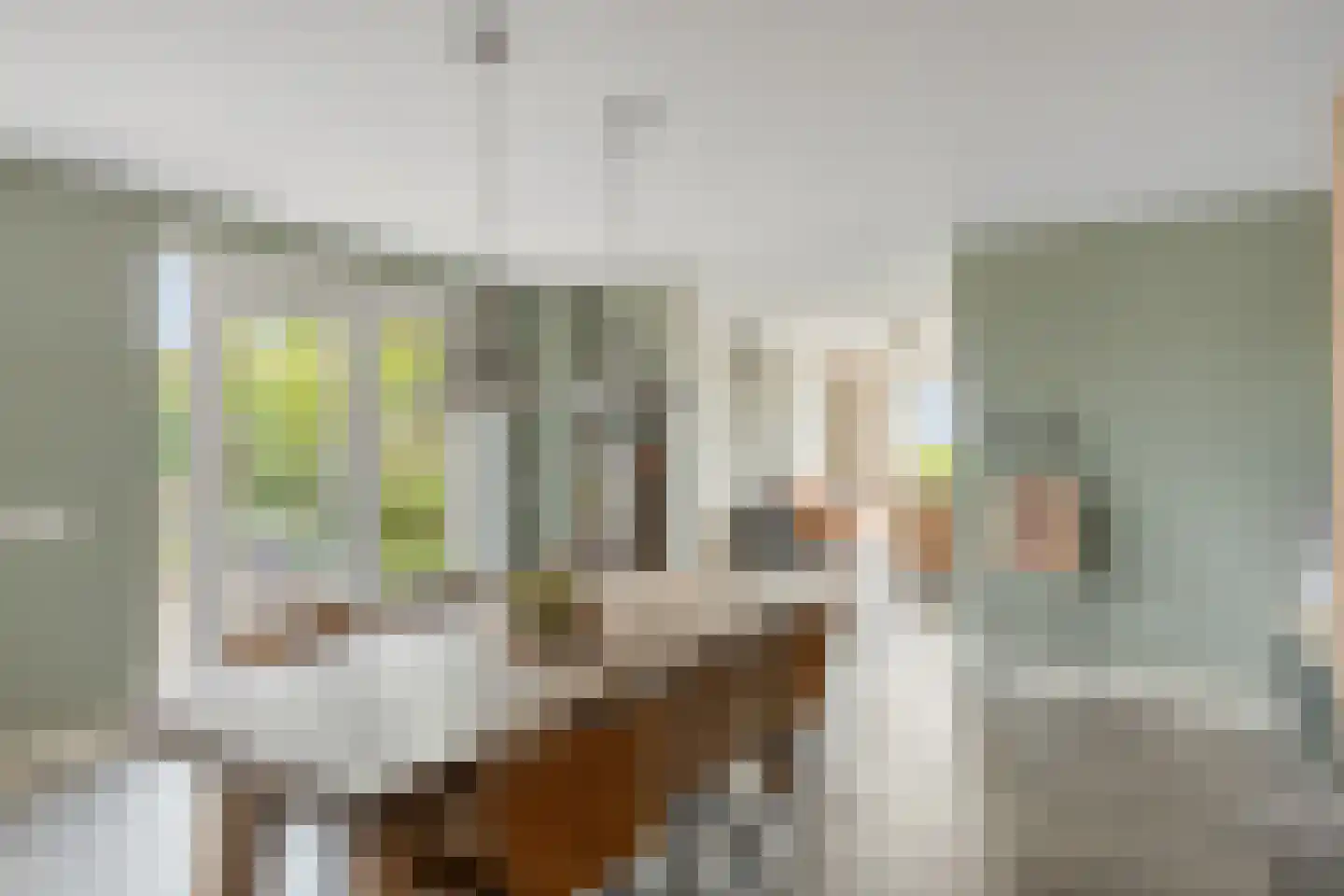 Tielsestraat 10 Valburg thumbnail 18
