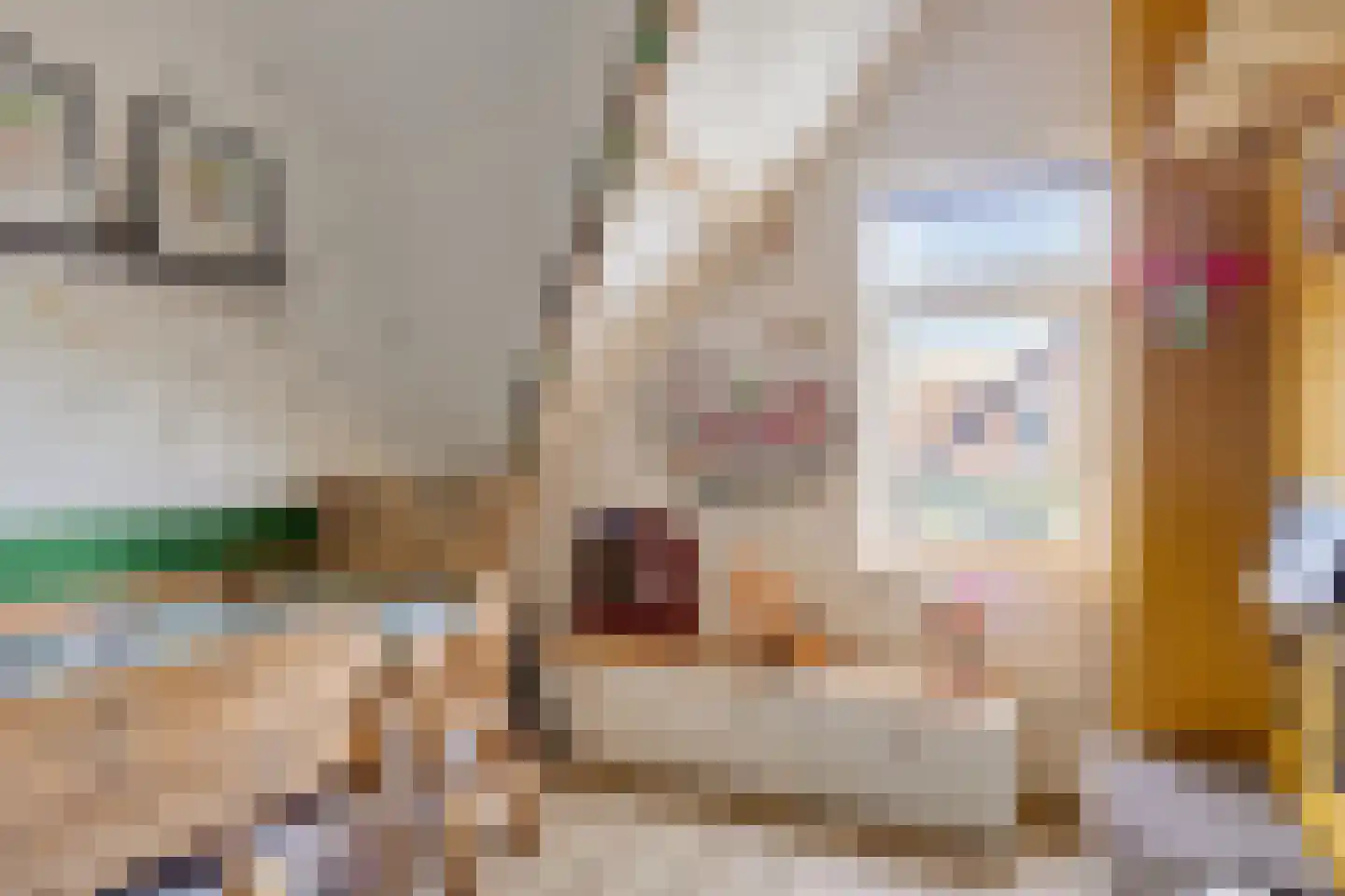 Tielsestraat 10 Valburg thumbnail 31