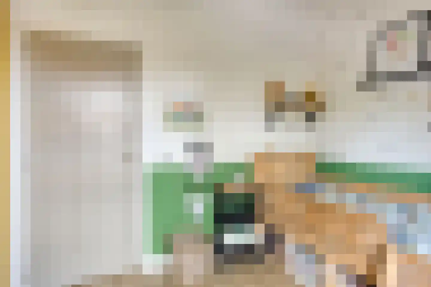 Tielsestraat 10 Valburg thumbnail 32