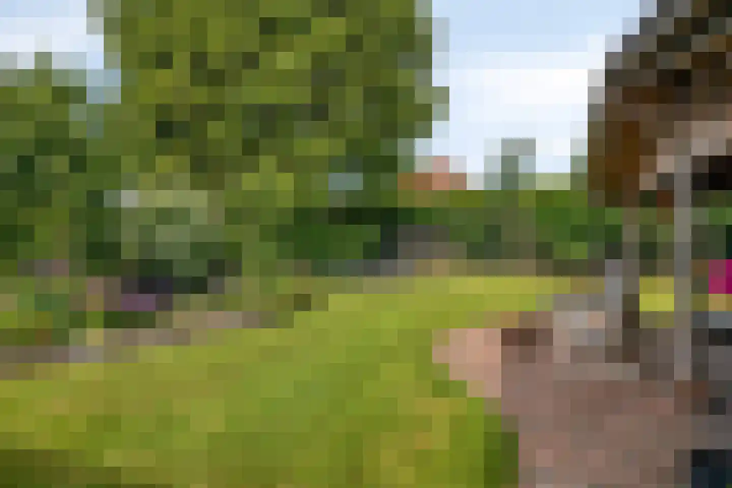 Tielsestraat 10 Valburg thumbnail 4