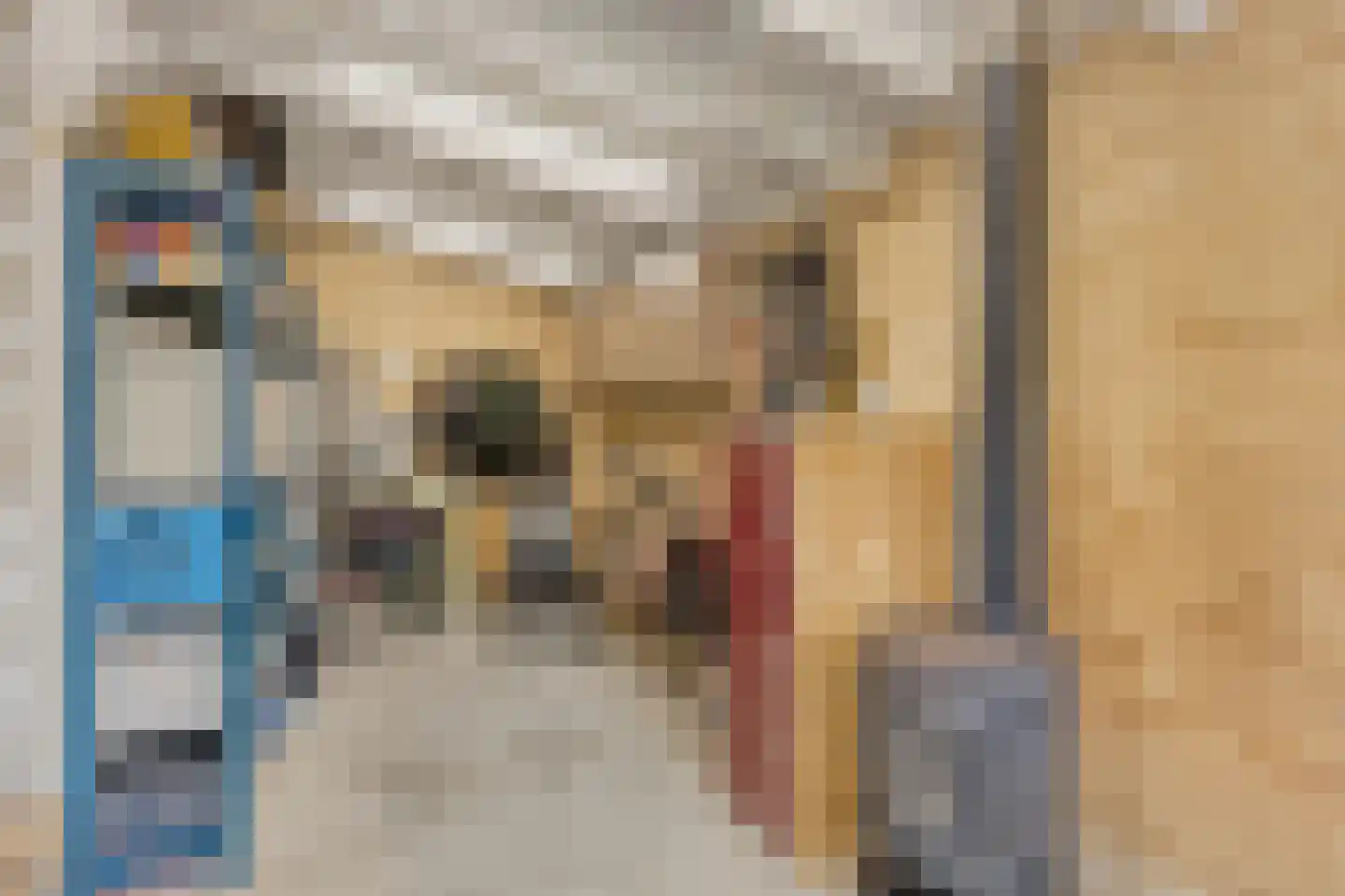 Tielsestraat 10 Valburg thumbnail 42