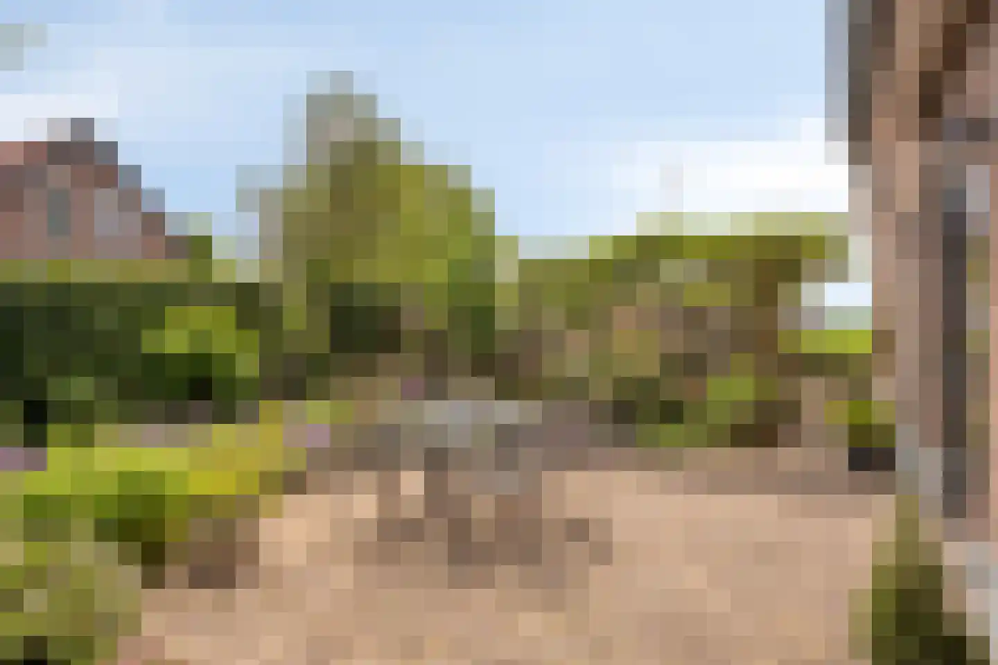 Tielsestraat 10 Valburg thumbnail 9
